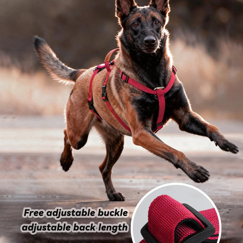 Harnais Anti-Traction Nylon pour Grand Chien - Entraînement