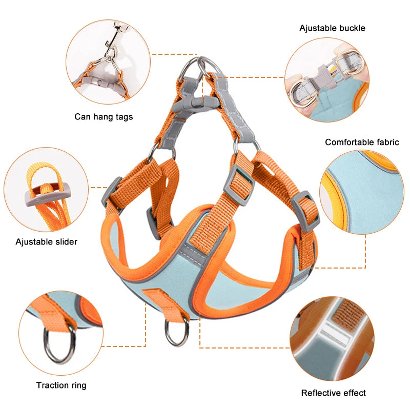 Ensemble Harnais et Laisse Anti-Traction pour Petit Chien et Chat