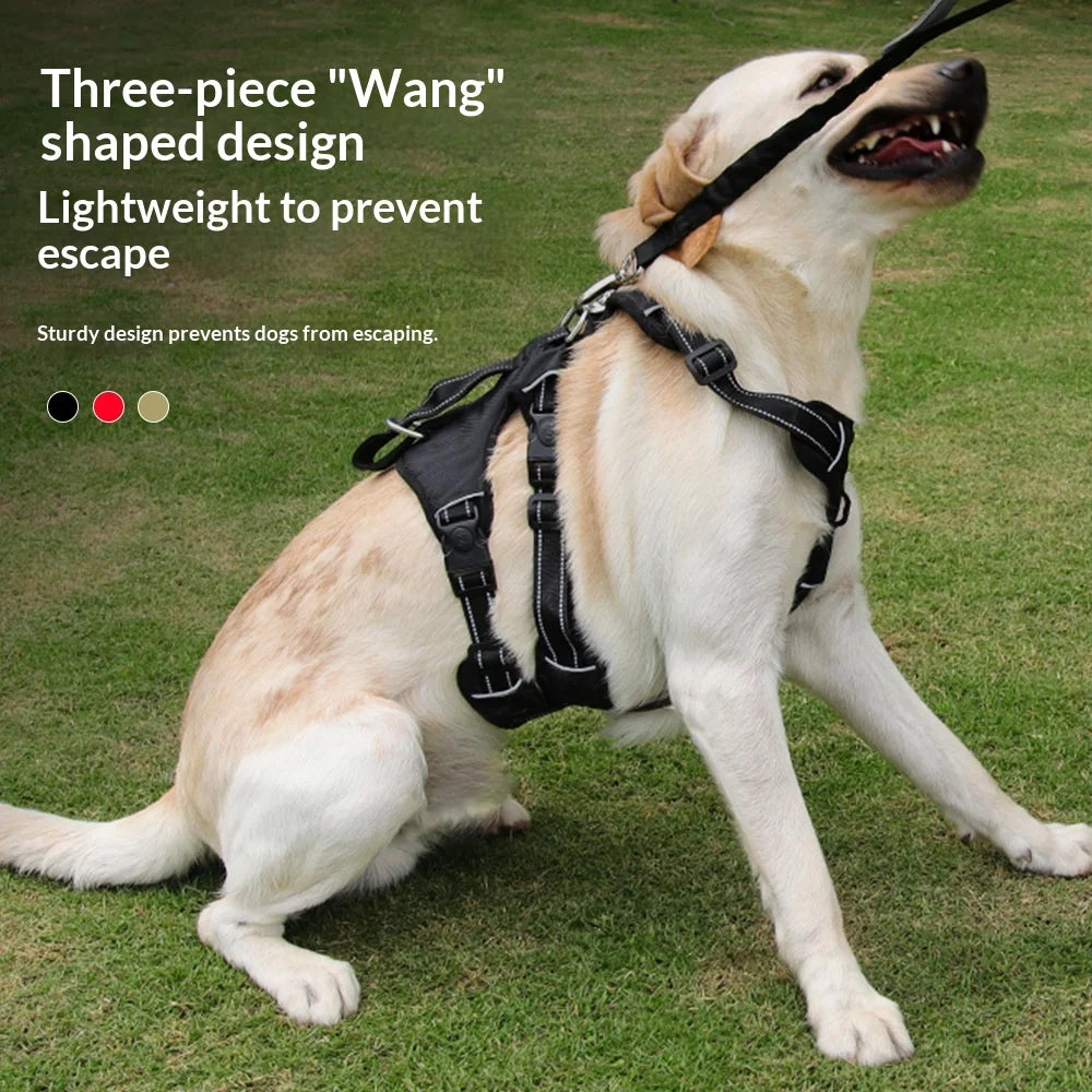 Harnais Anti-Évasion Grand Chien - Laisse Oxford Incluse