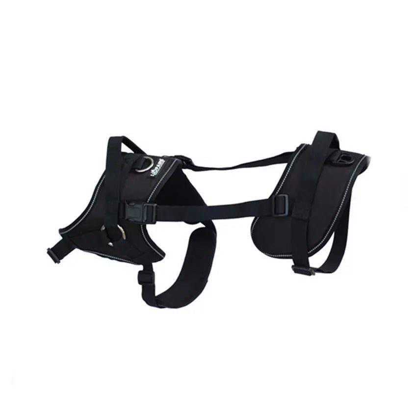 Harnais de Levage avec Sangles pour Pattes Arrière - Marche et Voyage