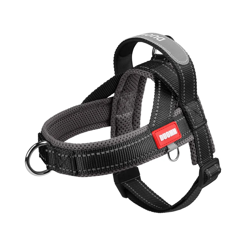 Harnais à la Mode Style Selle pour Chien - Toutes Tailles