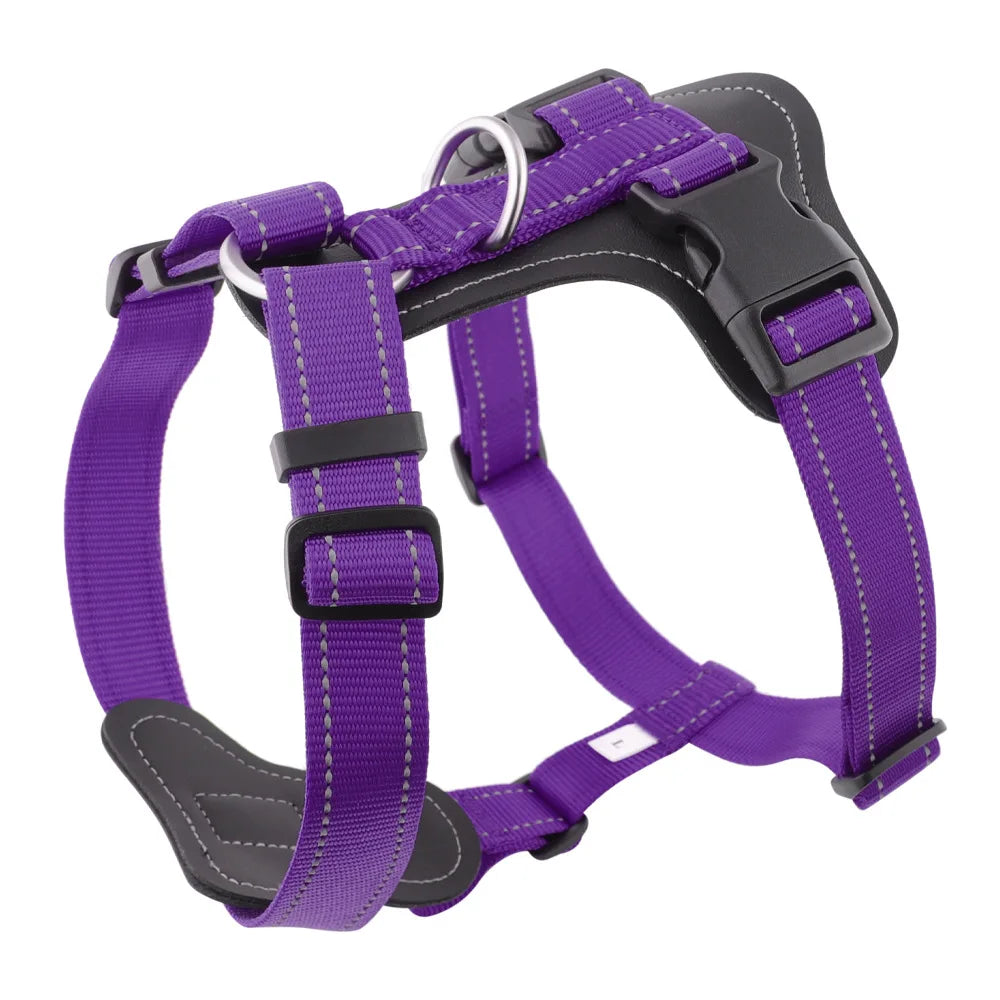 Harnais en Cuir pour Chien - Style Gilet, avec Collier et Laisse