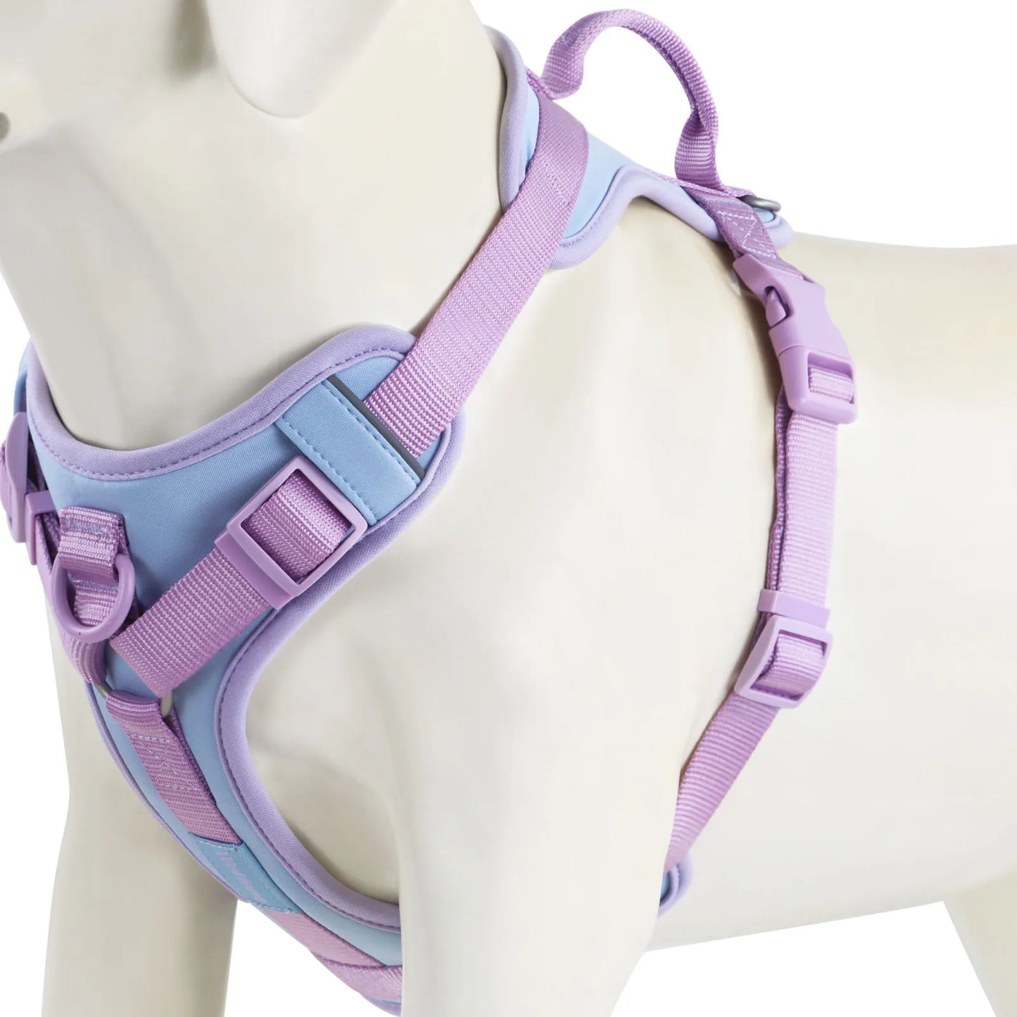 Harnais Personnalisable Anti-Traction pour Chien - Contrasté