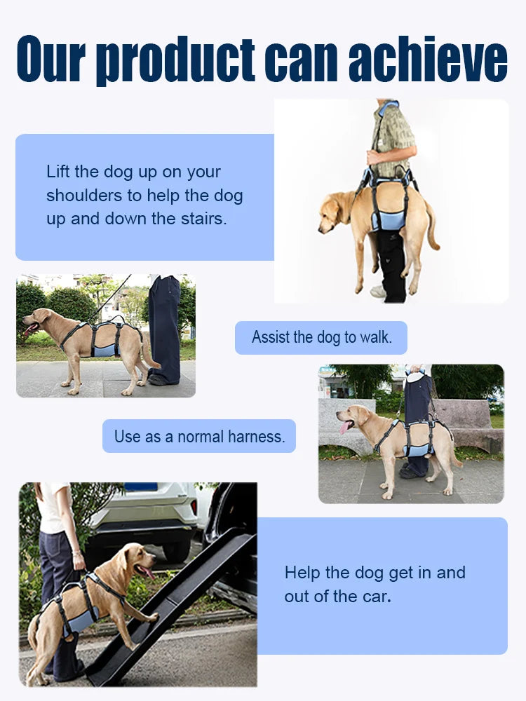 Harnais de Levage COODEO pour Chien - Rééducation, Sangles Réglables