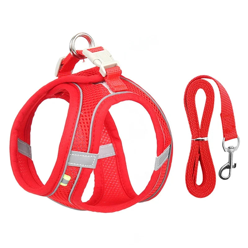 Ensemble Accessoires Réglables pour Chiots et Chats - Bouledogue, Chihuahua