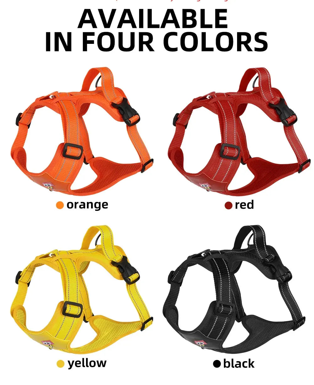 Harnais Réfléchissant Imperméable pour Chien Moyen/Grand - Doberman, Golden