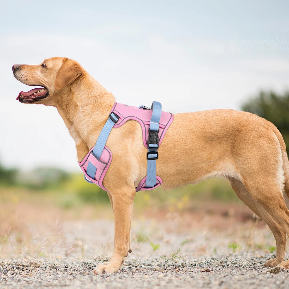Harnais en Maille Respirante Réfléchissant pour Chien - Toutes Tailles