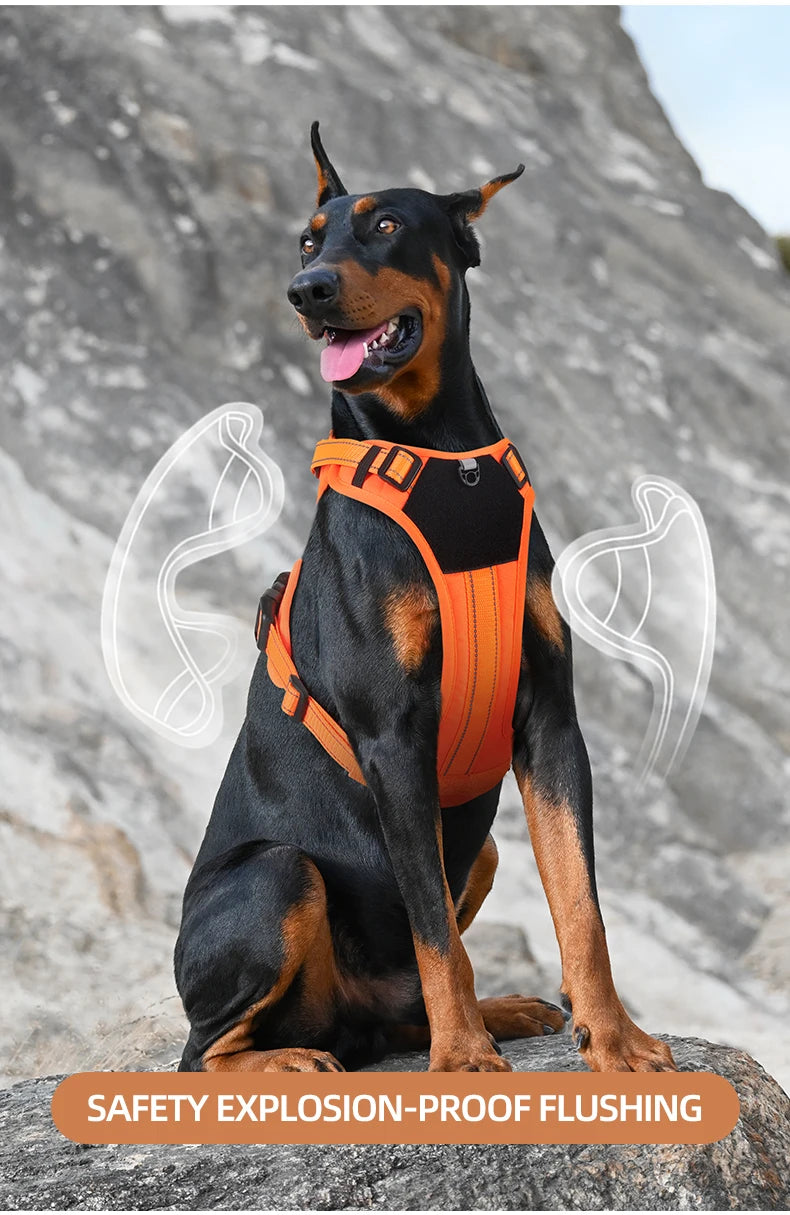 Harnais Multifonction en Nylon pour Chien - Toutes Tailles