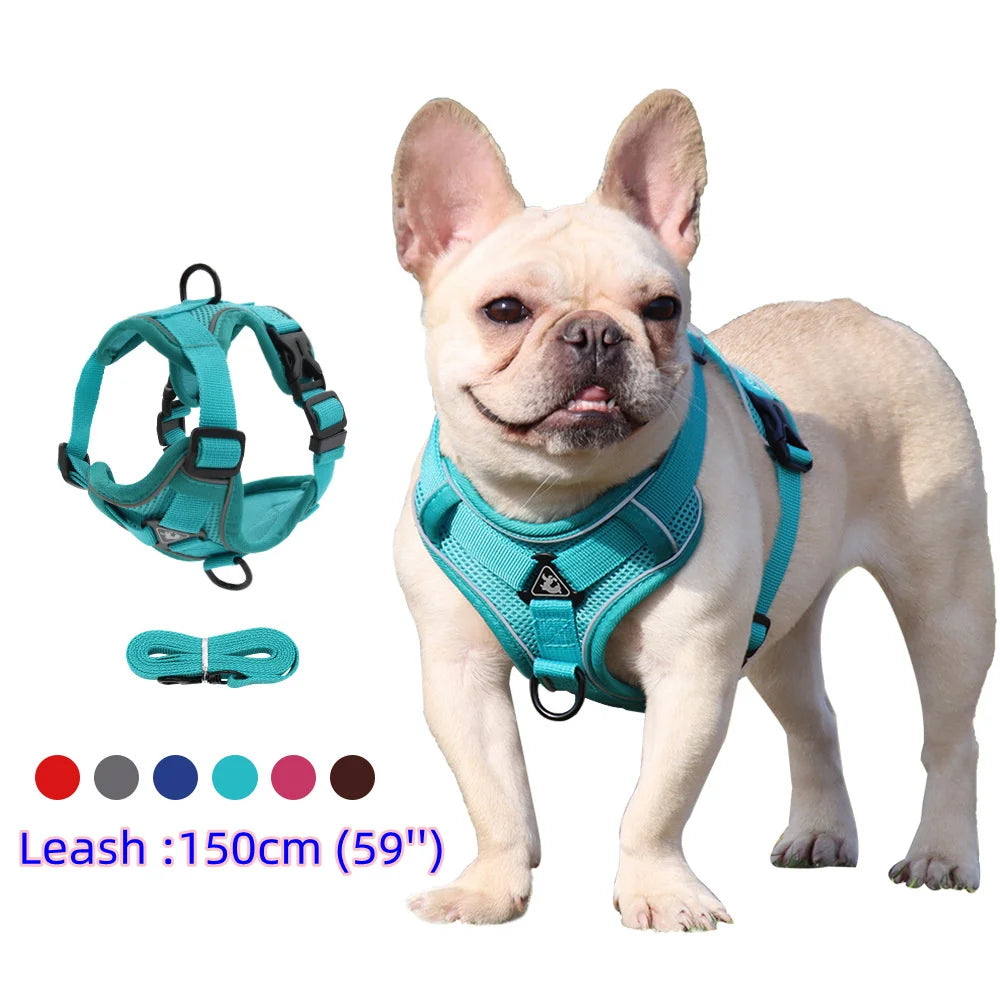Ensemble Harnais et Laisse pour Petit Chien - Bouledogue, Carlin, Chiot