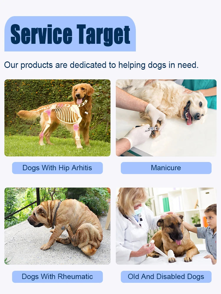 Harnais de Soutien Dorsal Réglable pour Chien - Post-Chirurgical