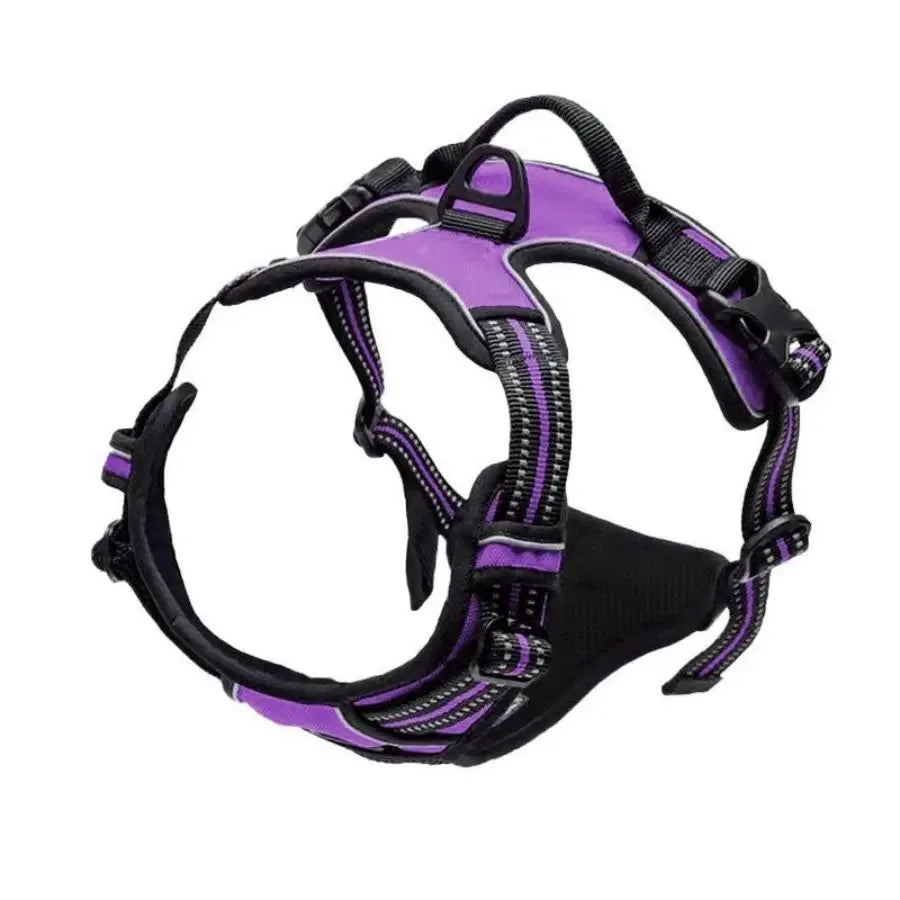 Ensemble Colliers, Harnais et Laisse en Cuir pour Chiot - Petit/Moyen Chien