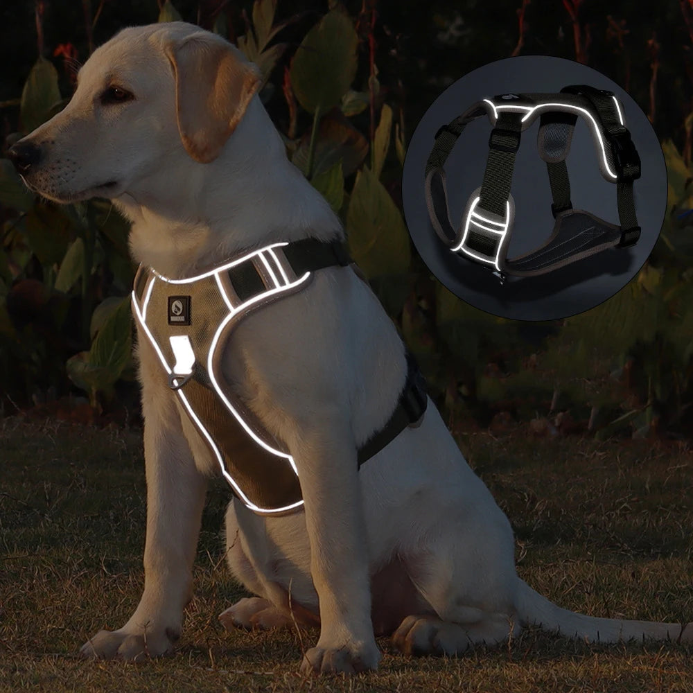 Harnais de Selle Réfléchissant pour Chien - Sans Traction, Toutes Tailles