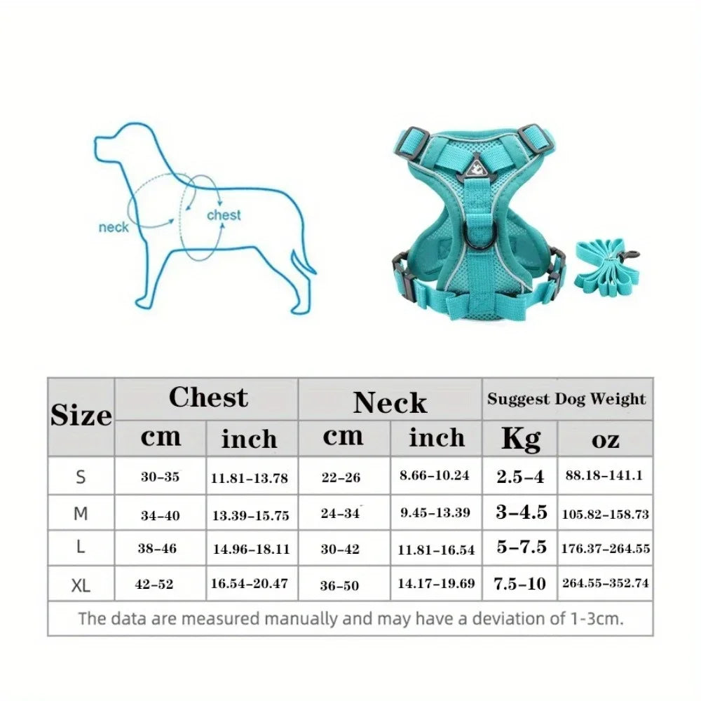 Ensemble Harnais et Laisse Sans Traction pour Petit Chien et Chat
