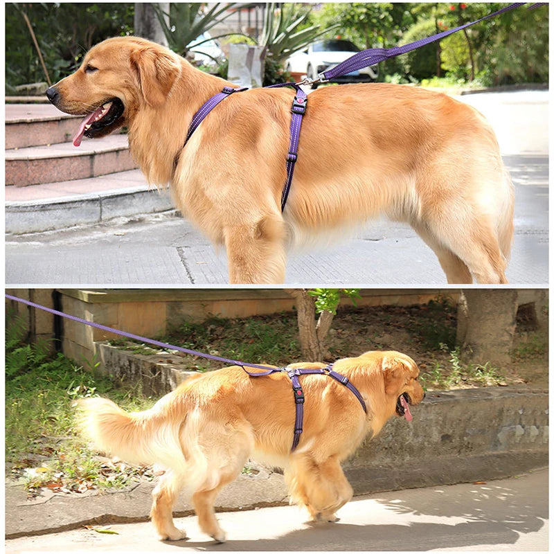 Harnais Anti-Évasion Type H pour Chien - Lavable, Réglable