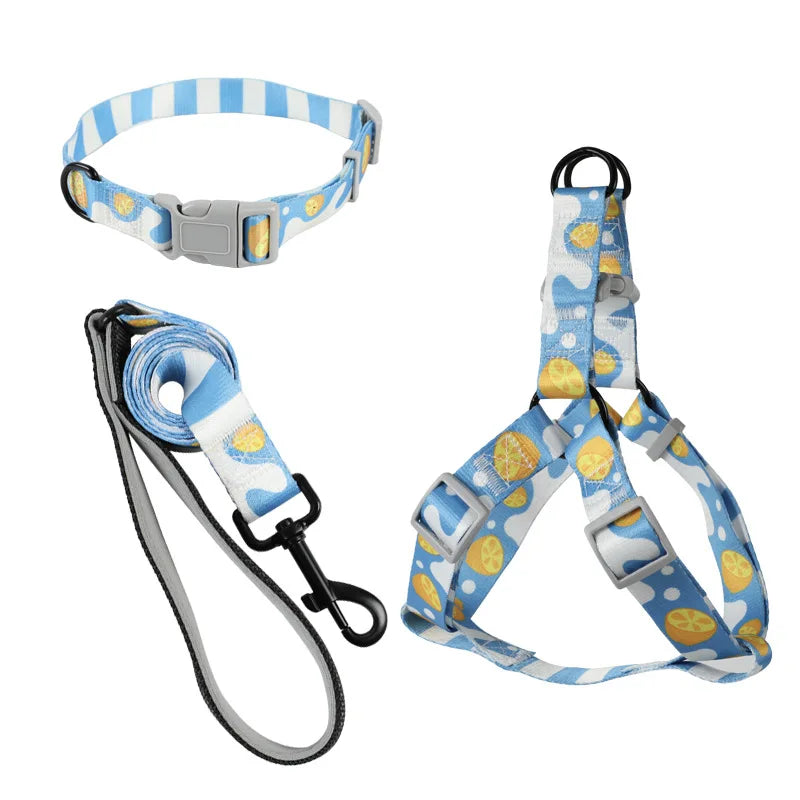 Ensemble Harnais, Laisse et Collier Trois Pièces pour Chien