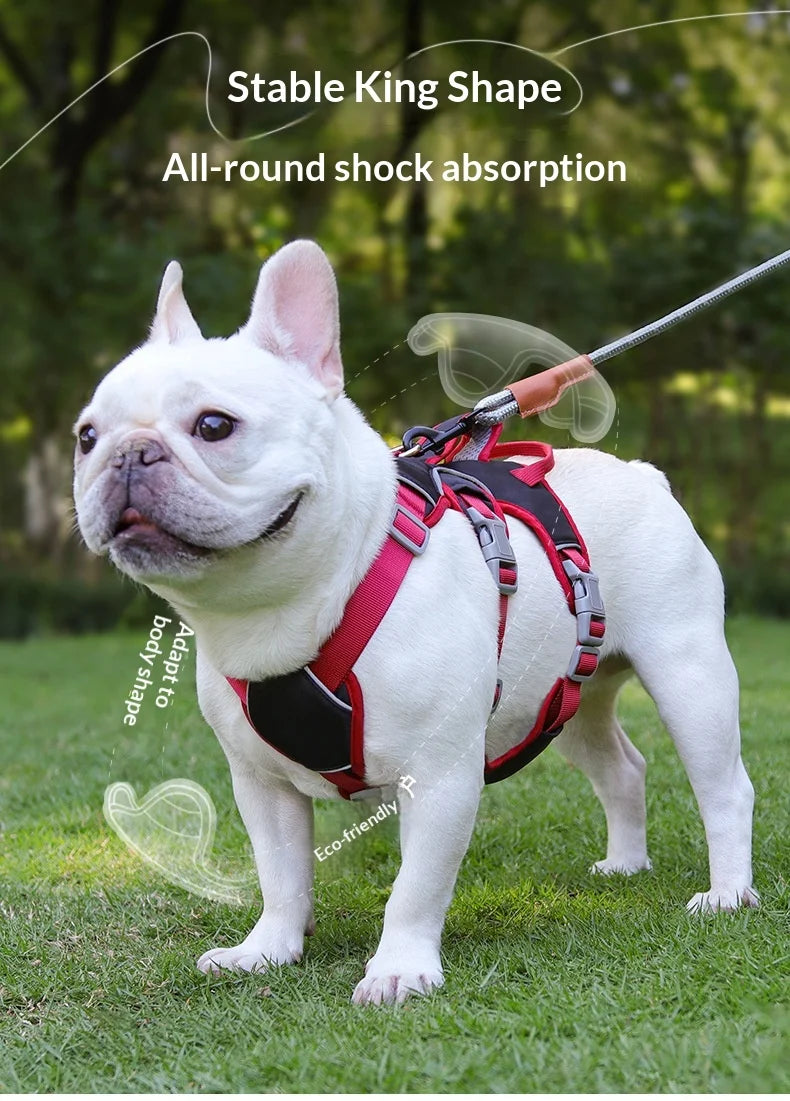 Harnais Anti-Évasion 3 Sections pour Grand Chien - Style Gilet