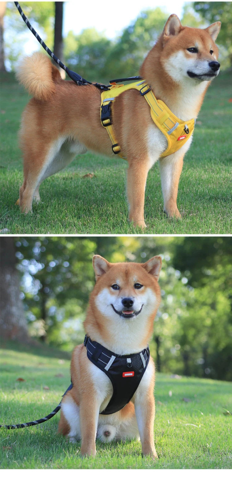 Harnais Oxford Réfléchissant pour Labrador et Husky