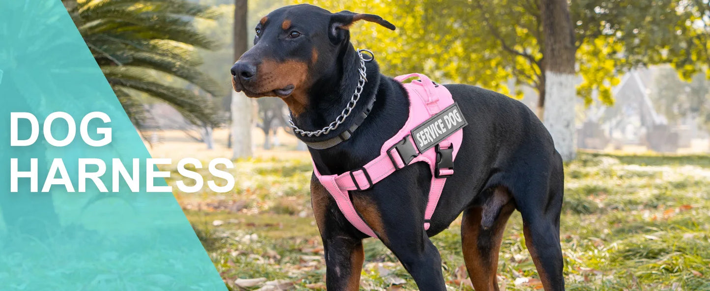 Harnais Personnalisé pour Chien - Étiquette Nom, Respirant