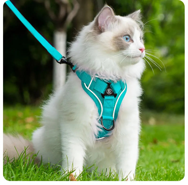 Ensemble Harnais et Laisse Sans Traction pour Petit Chien et Chat