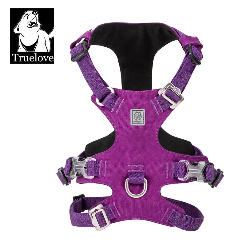 Harnais Nylon Double-H pour Chien - Léger et Imperméable
