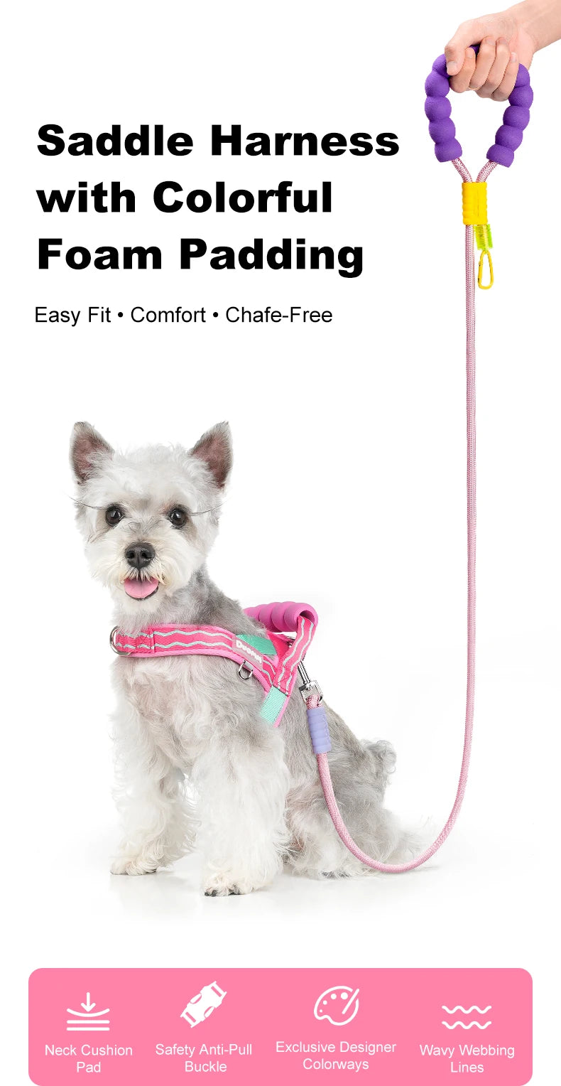 Harnais à Enfiler Rembourré pour Petit Chien - Poignée Douce
