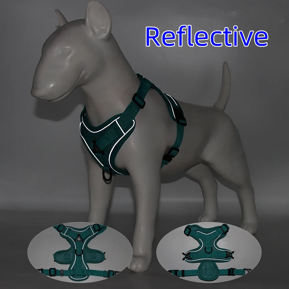 Ensemble Harnais et Laisse pour Petit Chien - Bouledogue, Carlin, Chiot