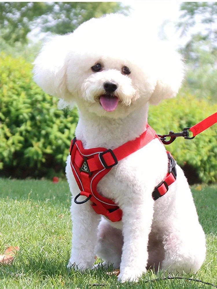 Ensemble Harnais et Laisse Anti-Traction pour Petit Chien et Chat - Réfléchissant