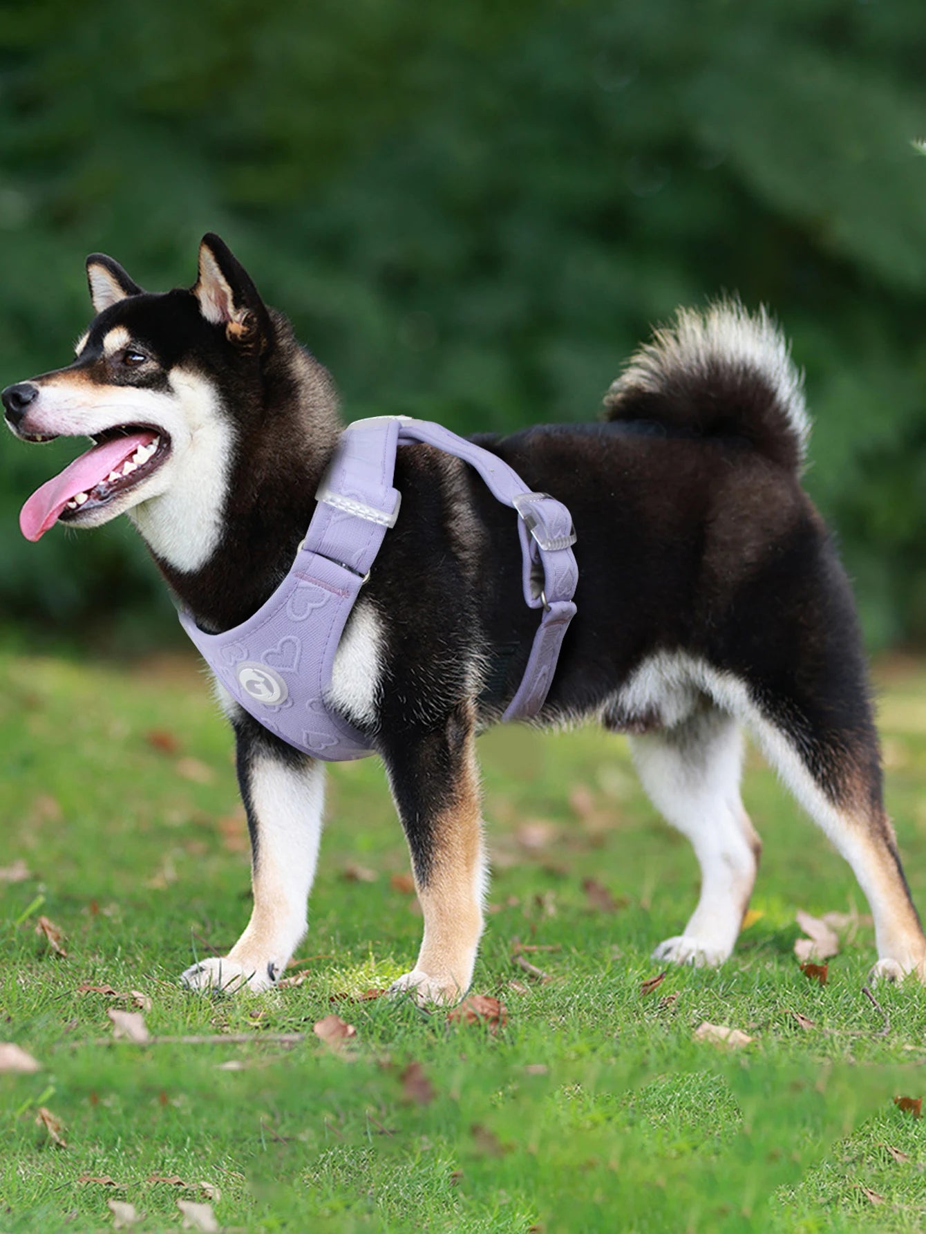 Gilet Nylon Sans Traction pour Petit Chien - Léger et Confortable