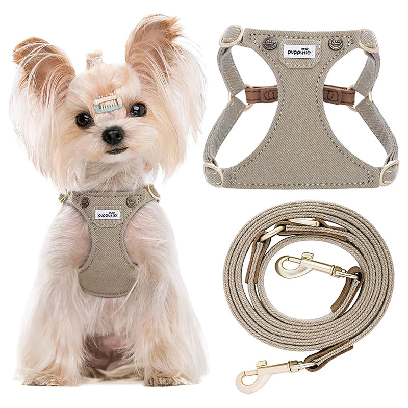 Ensemble Harnais et Laisse Doux Rembourré pour Chiot