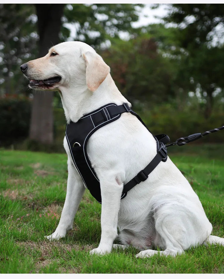 Harnais Compatible AirTag pour Petit Chien - Anti-Perte