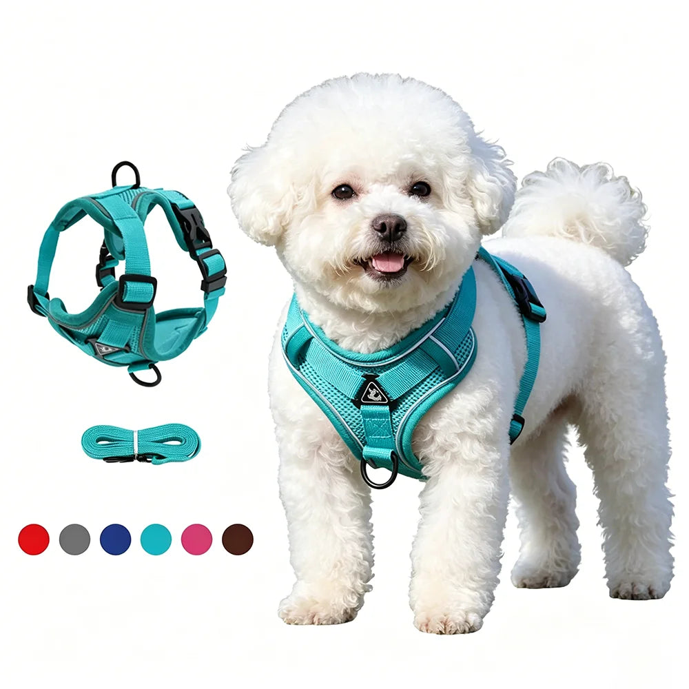 Ensemble Harnais et Laisse Anti-Traction pour Petit Chien et Chat - Réfléchissant