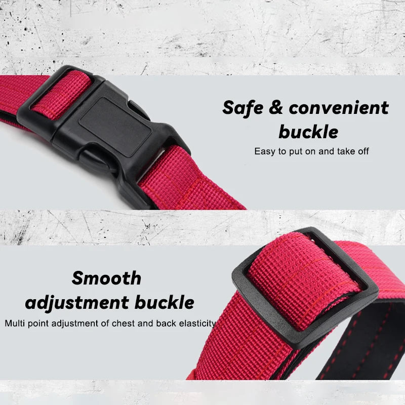 Harnais Anti-Traction Nylon pour Grand Chien - Entraînement