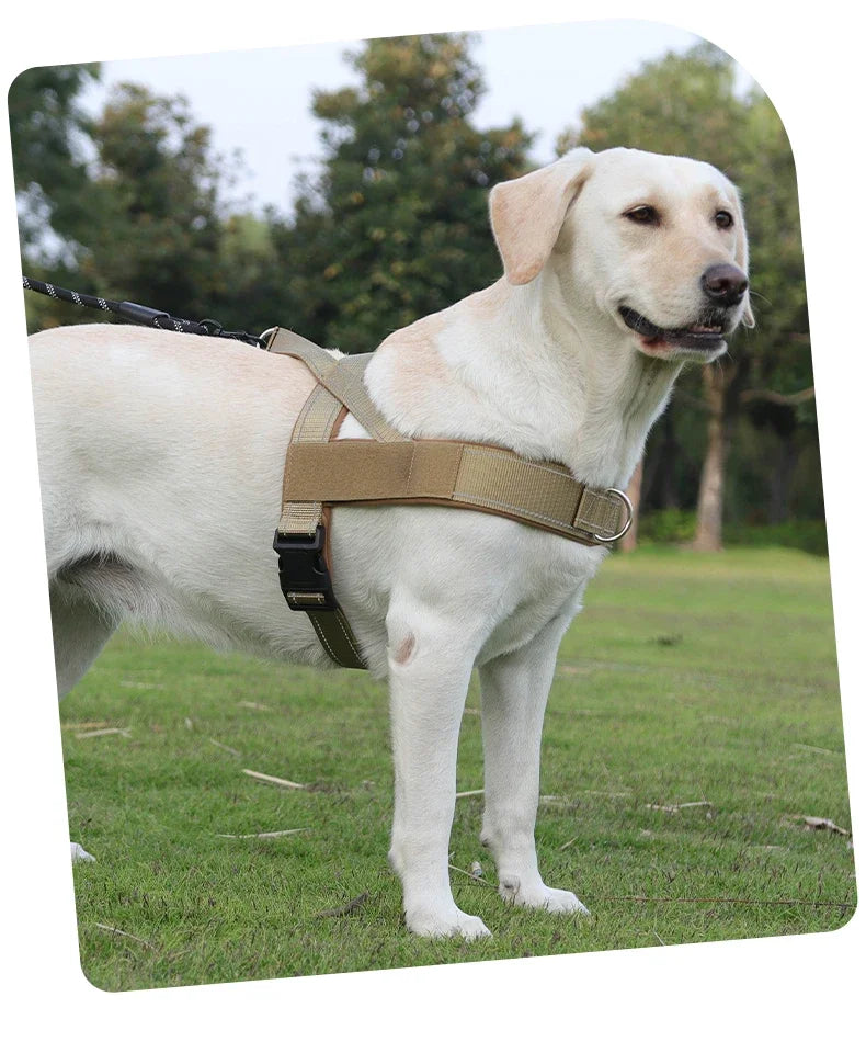 Harnais Gilet de Selle Léger et Réfléchissant pour Chien