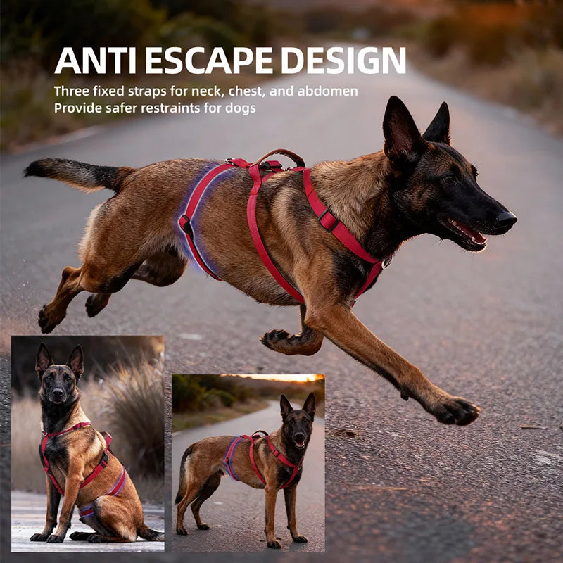 Harnais Anti-Fuite en Nylon avec Poignée pour Golden Retriever, Husky