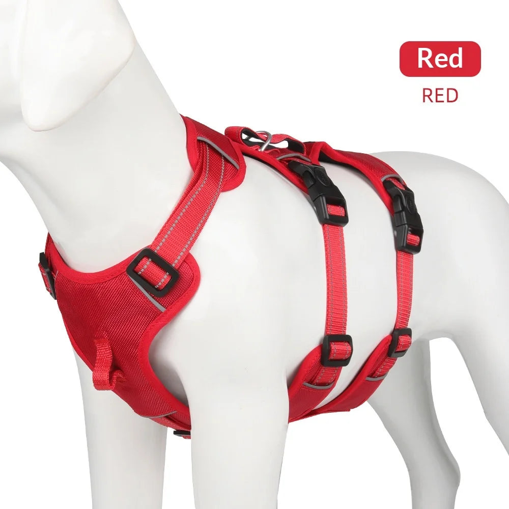 Harnais Anti-Évasion Grand Chien - Laisse Oxford Incluse