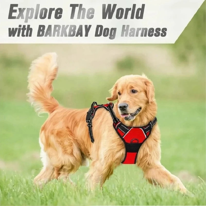 Harnais Robuste pour Grand Chien - Poignée de Contrôle