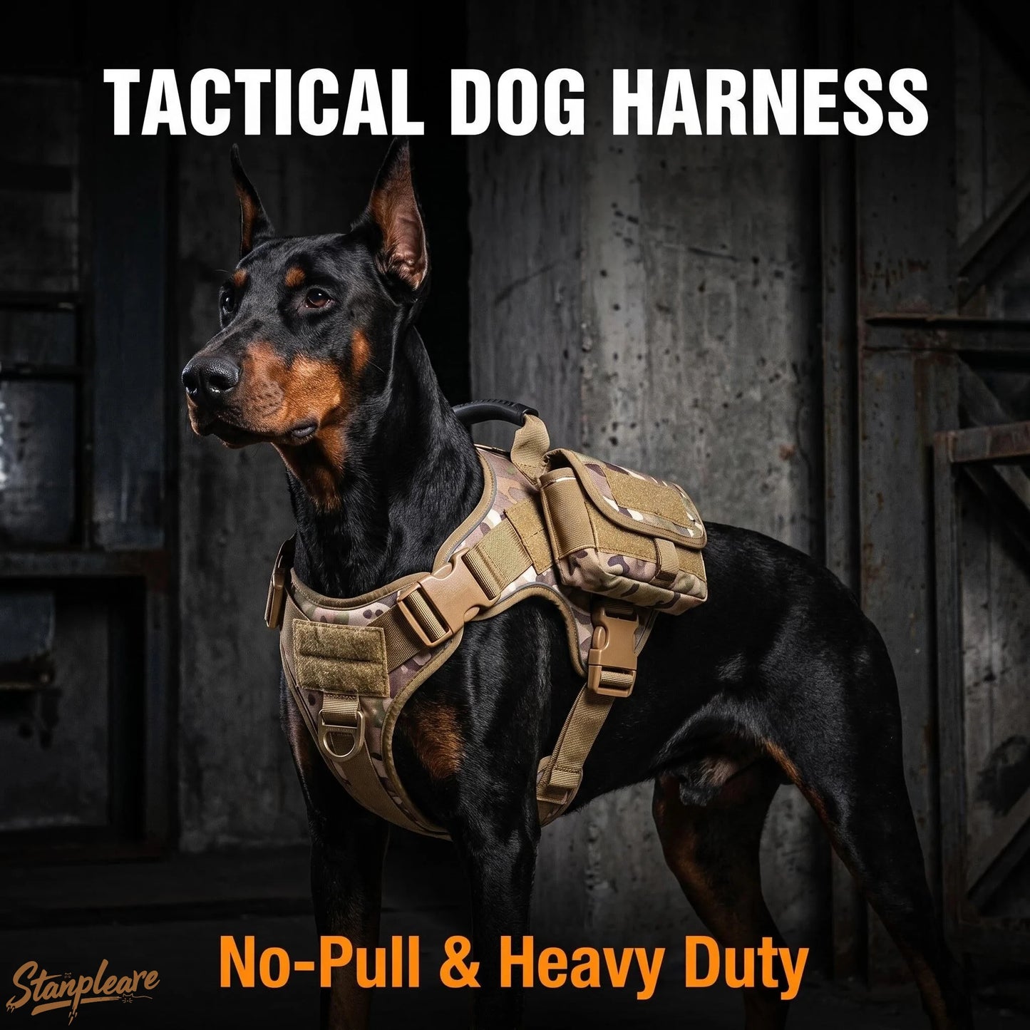 Harnais Tactique MOLLE en Nylon Robuste pour Grand Chien