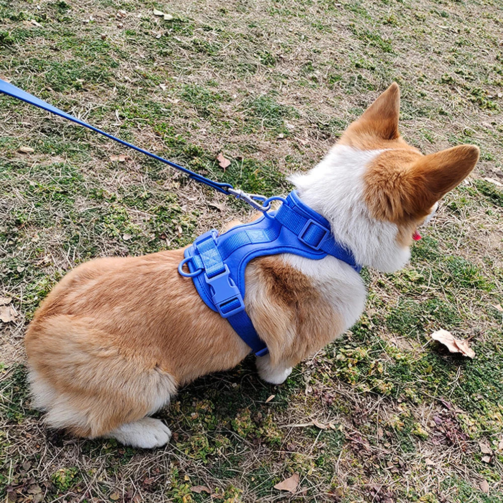 Harnais Léger Respirant pour Petit et Moyen Chien - Réglable