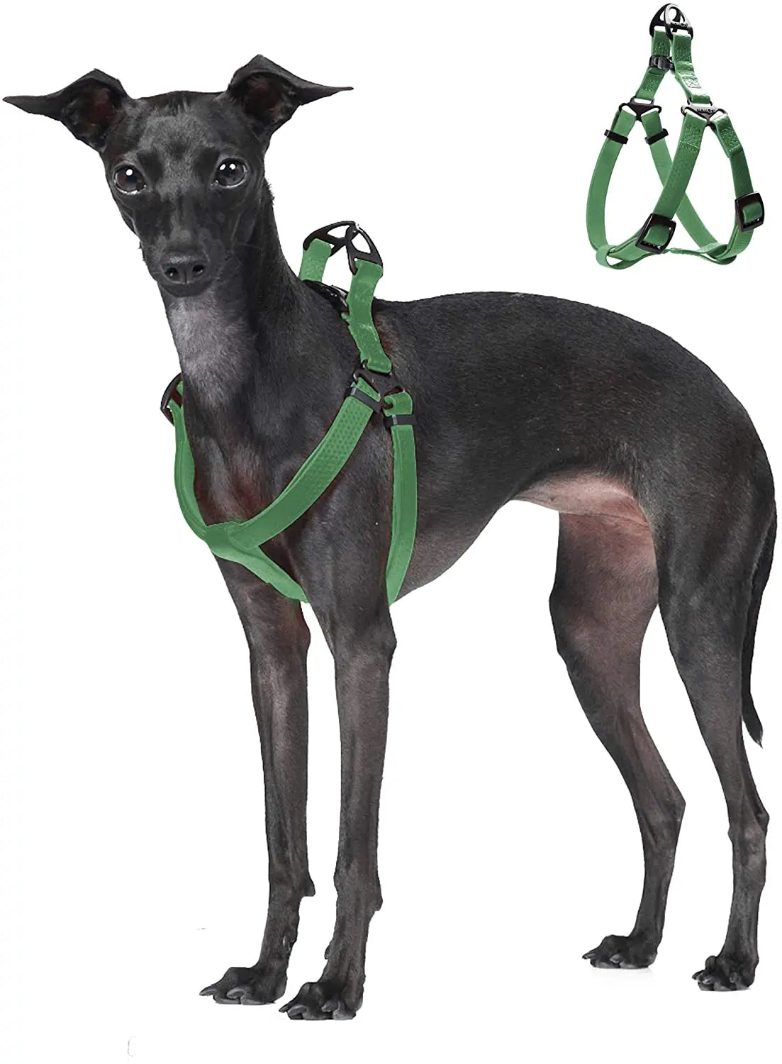 Harnais Réglable Étanche pour Chien - Sans Traction, Toutes Tailles