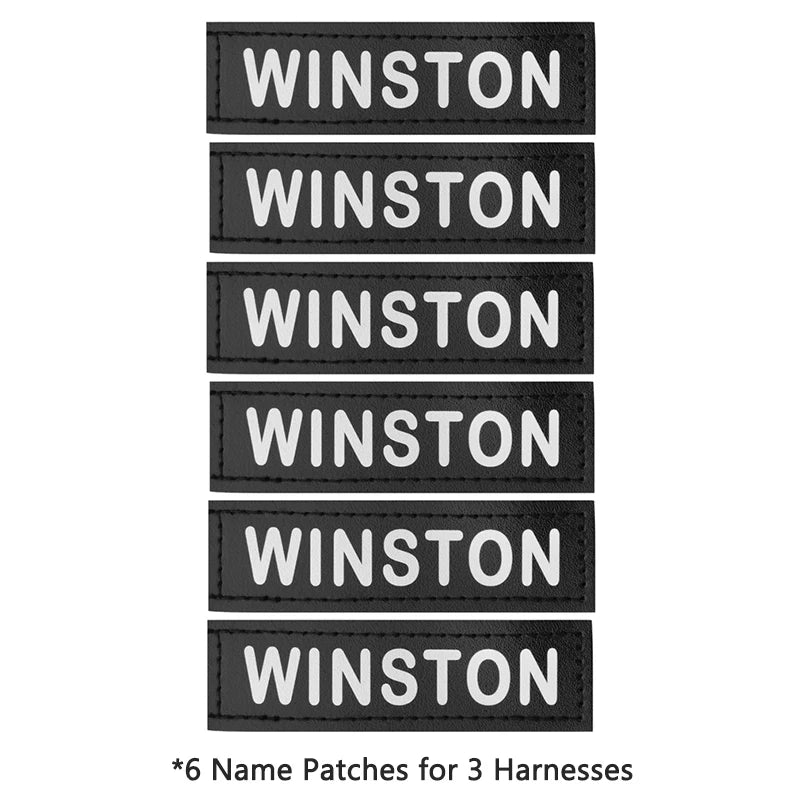 Harnais Personnalisé avec Patch Nominatif - Anti-Traction