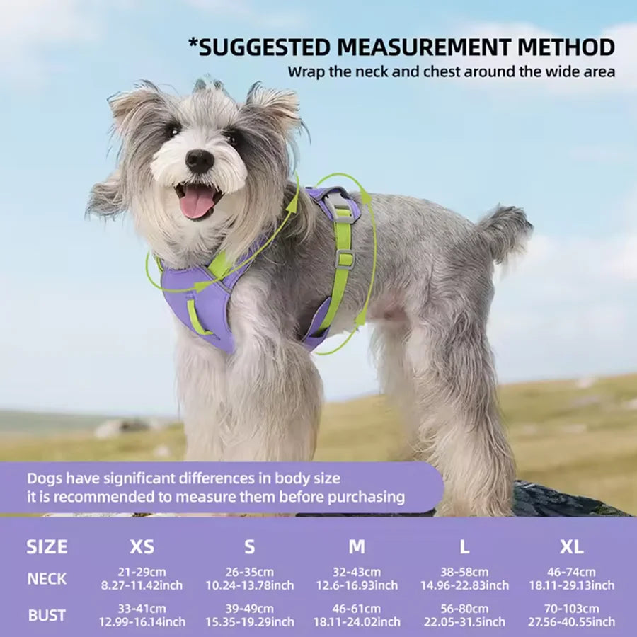 Harnais Léger Réfléchissant pour Chien et Chat - Sans Traction