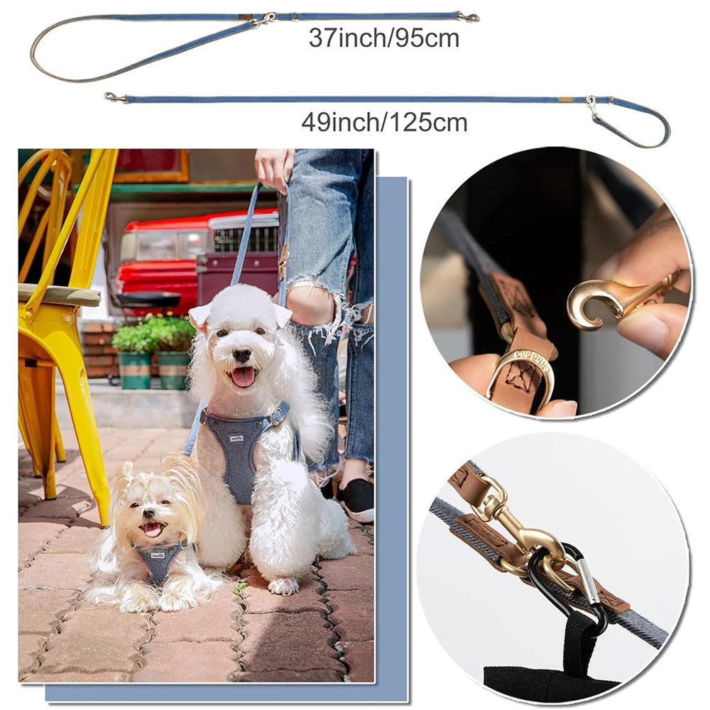 Ensemble Harnais et Laisse Doux Rembourré pour Chiot