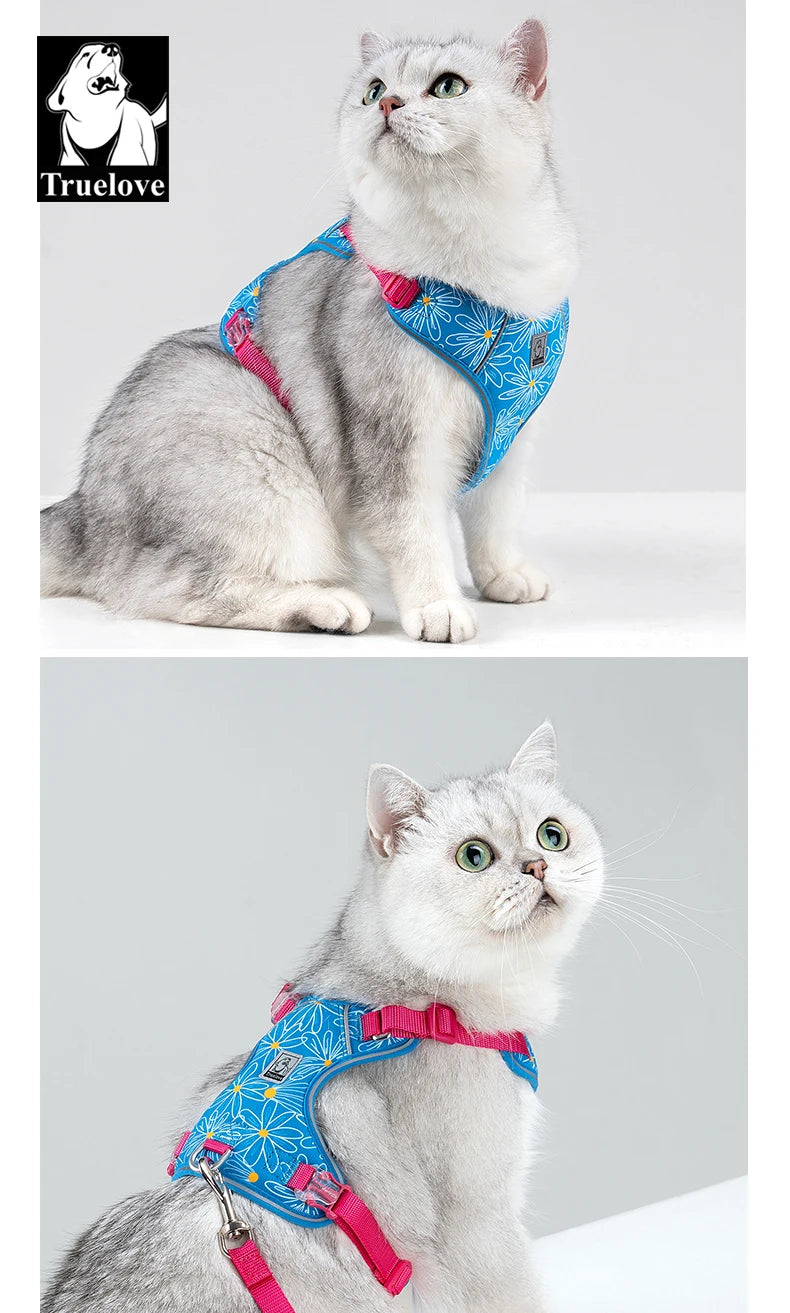 TRUELOVE Ensemble Harnais et Laisse Léger pour Petit Chien et Chat