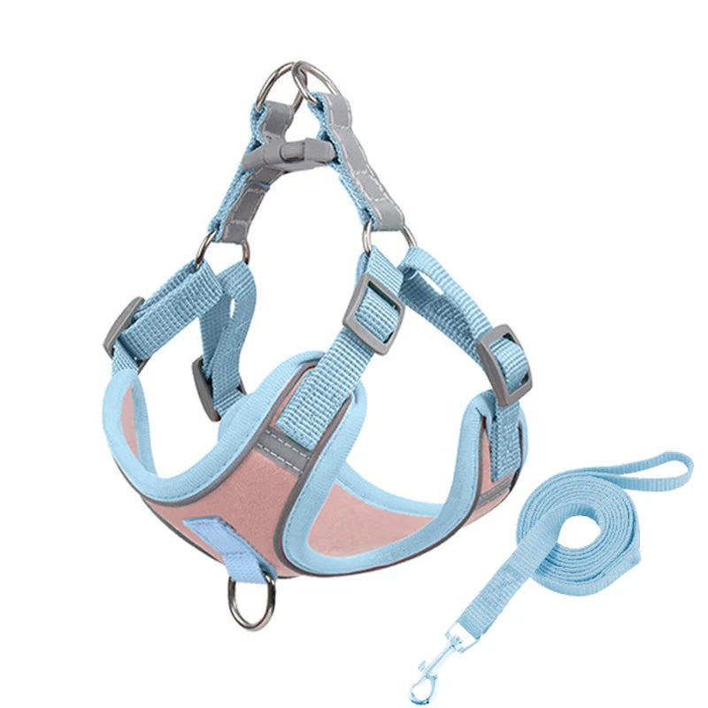 Ensemble Harnais et Laisse Anti-Traction pour Petit Chien et Chat