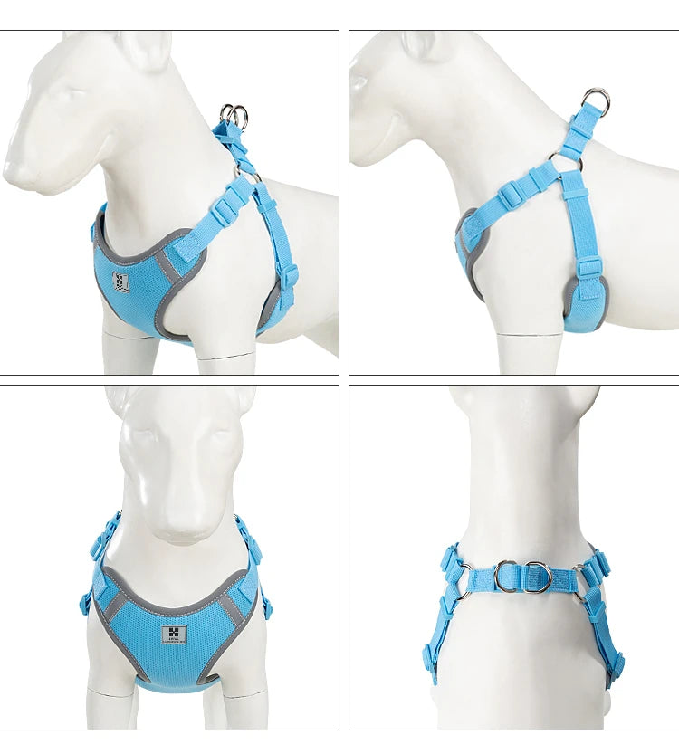 Ensemble Harnais et Laisse Réglable pour Chat et Petit Chien