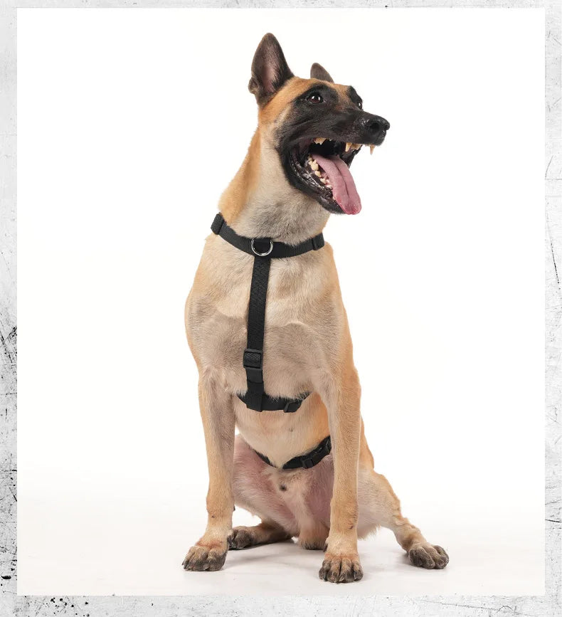 Harnais Anti-Fuite en Nylon avec Poignée pour Golden Retriever, Husky