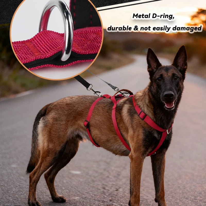 Harnais Anti-Traction Nylon pour Grand Chien - Entraînement