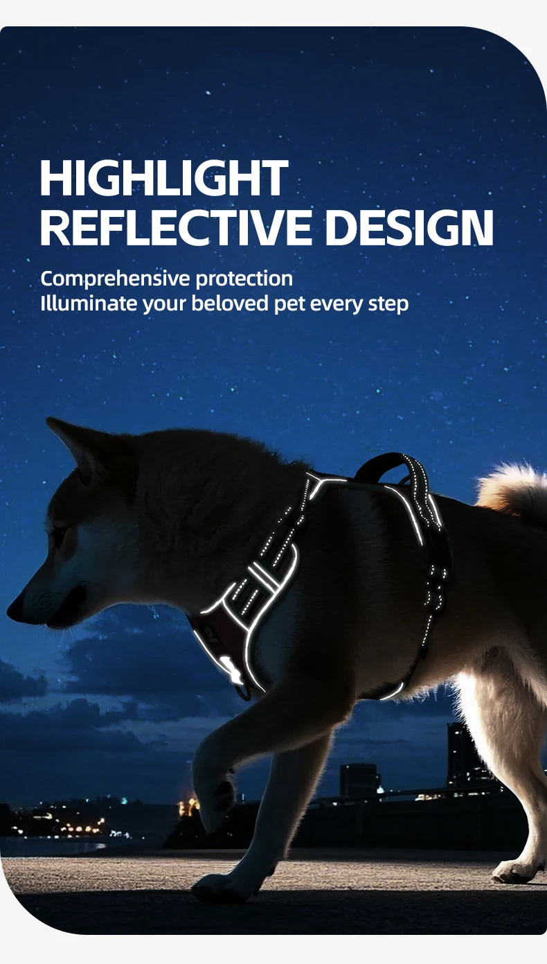 Harnais Oxford Anti-Évasion Réfléchissant pour Grand Chien - avec Collier