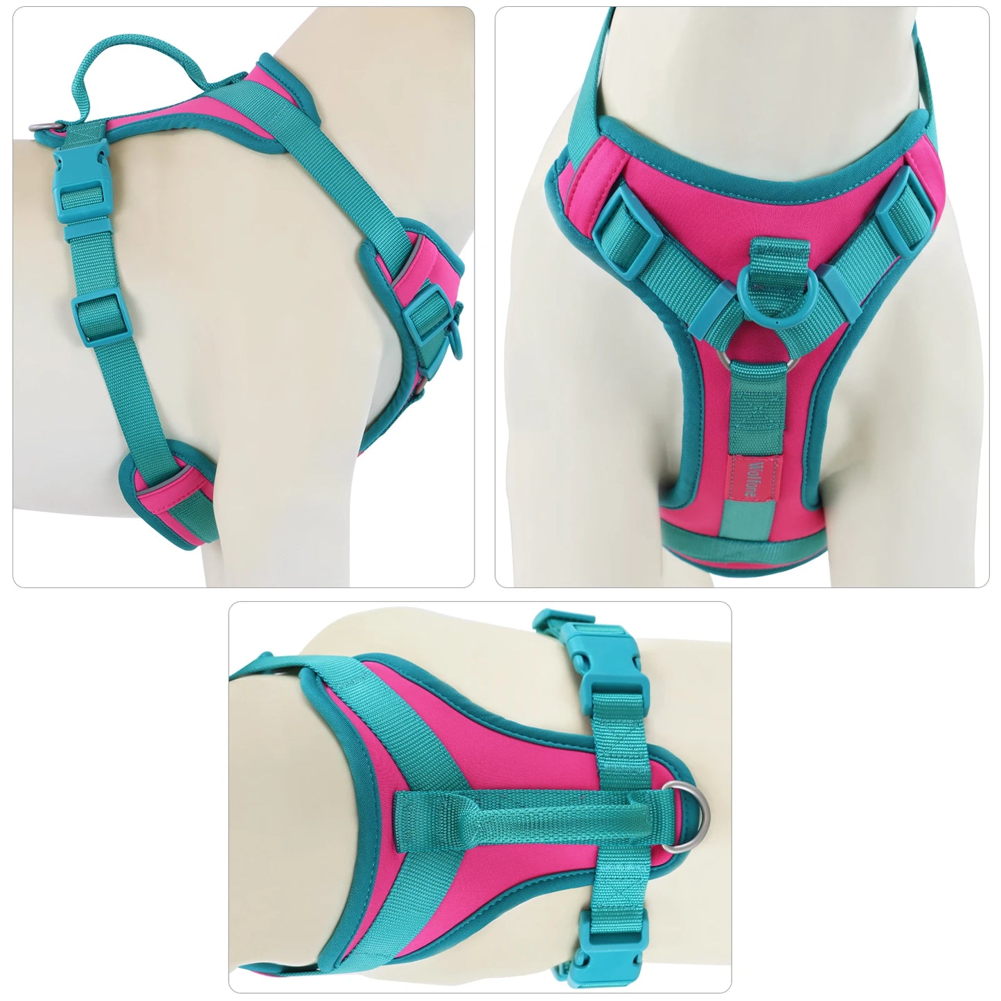 Harnais Personnalisable Anti-Traction pour Chien - Contrasté
