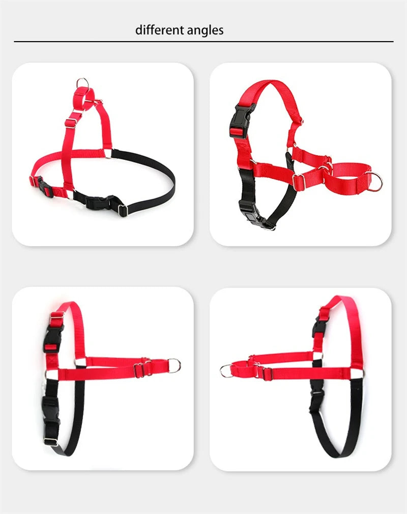 Harnais Anti-Rupture en Nylon Solide pour Chien Moyen/Grand - Husky